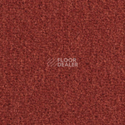 Ковролин Balsan Majestic 547 фото 1 | FLOORDEALER
