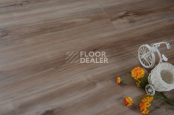 Evofloor Optima Click 4.2мм Груша Карамель фото 3 | FLOORDEALER