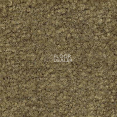 Ковролин Emphatic Beaulieu of America 56314 фото 1 | FLOORDEALER