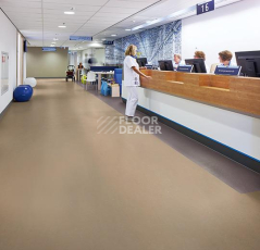 Forbo Marmoleum Solid Concrete 3730-373035 Stella фото 3 | FLOORDEALER