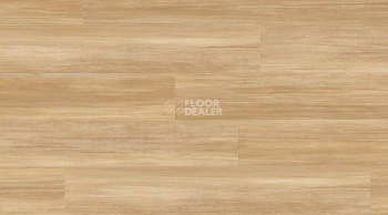 Кварцвиниловые полы Gerflor Creation 55 0857_Stripe_Oak_Honey фото 1 | FLOORDEALER