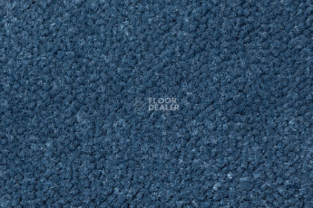 Ковролин AW Prima AW Prima 74 фото 1 | FLOORDEALER