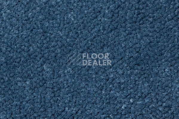 Ковролин AW Prima AW Prima 74 фото 1 | FLOORDEALER