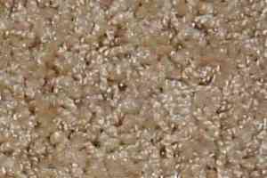 Ковролин Bell Rock Beaulieu of America 2682 фото  | FLOORDEALER