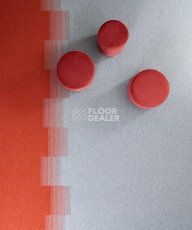 Bloq Connexion Connexion 217 фото 2 | FLOORDEALER