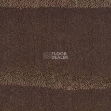 Ковролин Balsan Territoires Editio Limitee Tanzanie files 691 фото 1 | FLOORDEALER