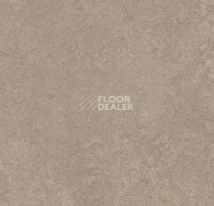 Линолеум Forbo Marmoleum Acoustic 33252 sparrow фото 1 | FLOORDEALER