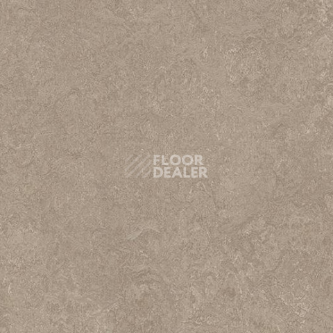 Линолеум Forbo Marmoleum Acoustic 33252 sparrow фото 1 | FLOORDEALER