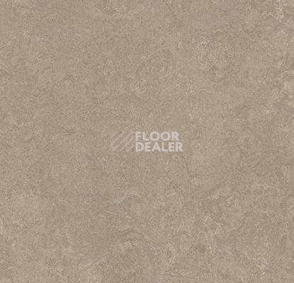 Линолеум Forbo Marmoleum Acoustic 33252 sparrow фото 1 | FLOORDEALER