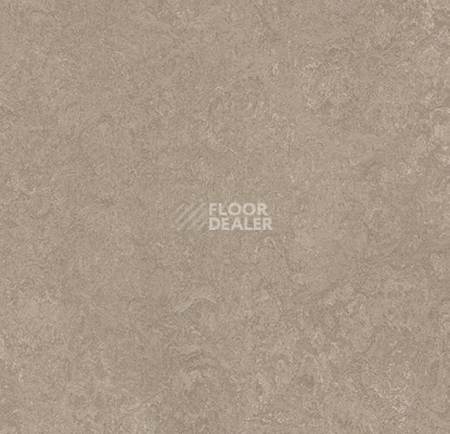 Линолеум Forbo Marmoleum Acoustic 33252 sparrow фото 1 | FLOORDEALER