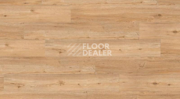 Кварцвиниловые полы Gerflor Creation 55 Looselay 0347_Ballerina фото 1 | FLOORDEALER