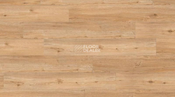 Кварцвиниловые полы Gerflor Creation 55 Looselay 0347_Ballerina фото 1 | FLOORDEALER