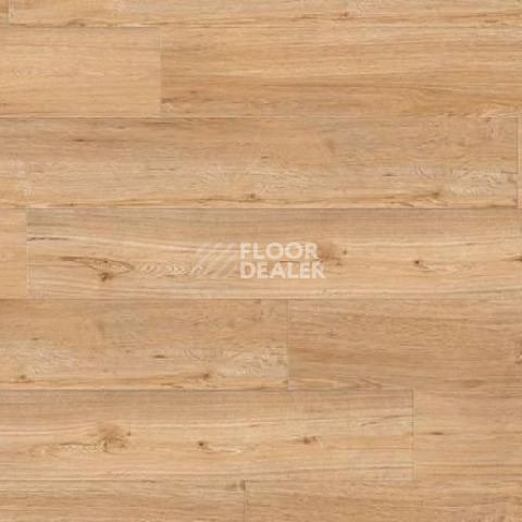 Кварцвиниловые полы Gerflor Creation 55 Looselay 0347_Ballerina фото 1 | FLOORDEALER