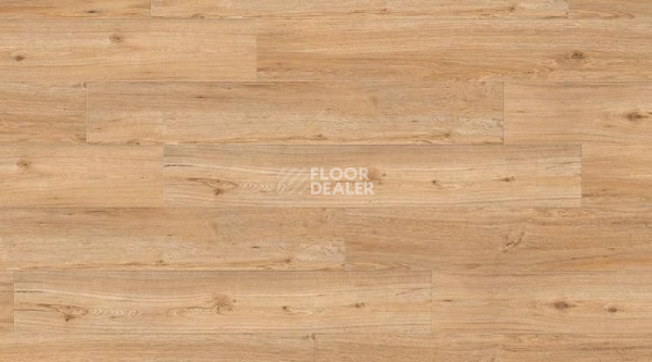 Кварцвиниловые полы Gerflor Creation 55 Looselay 0347_Ballerina фото 1 | FLOORDEALER