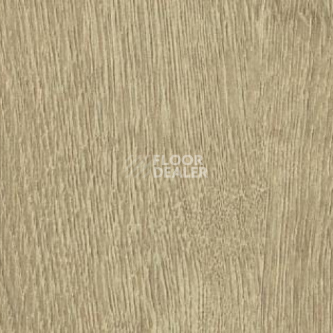 Ламинат Haro Daily Edition 7 mm ДУБ БРЕДА ПУРО 541338 фото 1 | FLOORDEALER