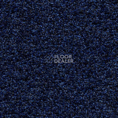 Грязезащитные покрытия Forbo Coral Bright 2607 deep water фото 1 | FLOORDEALER