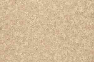 Линолеум Grabo Terrana Top Extra 4148-252 фото  | FLOORDEALER