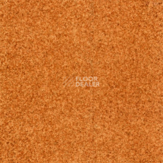 Линолеум Grabo Terrana Top Extra 4327-263 фото 1 | FLOORDEALER