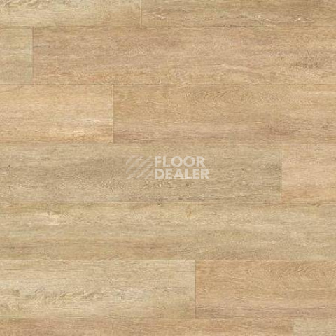 Кварцвиниловые полы Gerflor Creation 55 0441_Honey_Oak фото 1 | FLOORDEALER