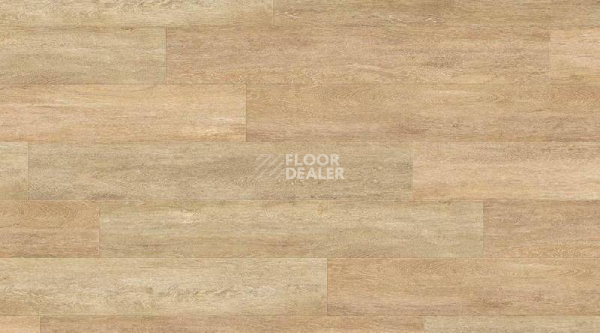 Кварцвиниловые полы Gerflor Creation 55 0441_Honey_Oak фото 1 | FLOORDEALER