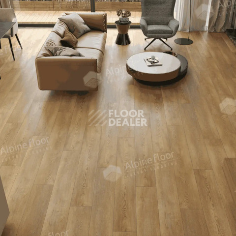 Alpine Floor Premium 12мм ECO24-2 Дуб Модерн фото 2 | FLOORDEALER