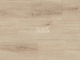 Kronotex Exquisit Plus d80262 Дуб Аванто Светлый фото 3 | FLOORDEALER