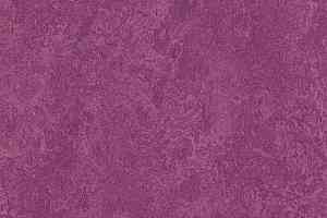 Кварцвиниловые полы Forbo Marmoleum Modular Colour 3242 фото  | FLOORDEALER