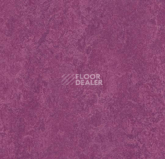 Кварцвиниловые полы Forbo Marmoleum Modular Colour 3242 фото 1 | FLOORDEALER