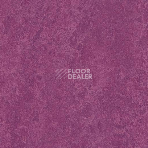 Кварцвиниловые полы Forbo Marmoleum Modular Colour 3242 фото 1 | FLOORDEALER