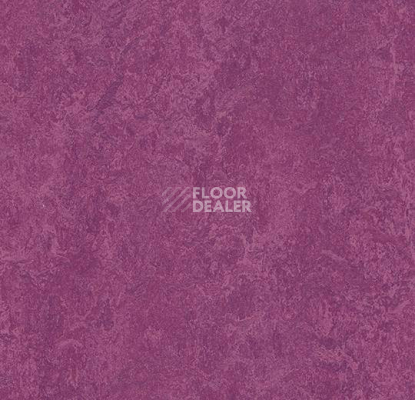 Кварцвиниловые полы Forbo Marmoleum Modular Colour 3242 фото 1 | FLOORDEALER