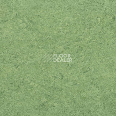 Линолеум Gerflor Marmorette DLW  2mm 0100 Frog Green фото 1 | FLOORDEALER