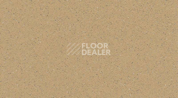 Линолеум Gerflor Tarasafe Standard 7302_Sahara фото 1 | FLOORDEALER
