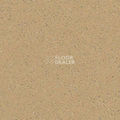 Линолеум Gerflor Tarasafe Standard 7302_Sahara фото 1 | FLOORDEALER