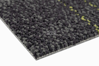 Neuflor Contours 2008-13 + New Leaf фото 4 | FLOORDEALER