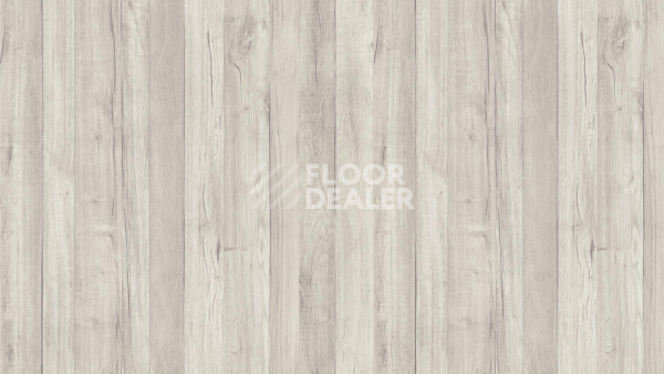 Линолеум Tarkett Loft RENE 1 фото 1 | FLOORDEALER