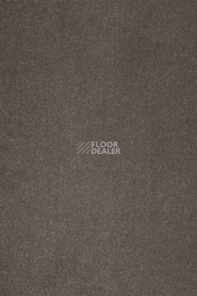 Ковролин AW Masquerade Varuna 49 фото 1 | FLOORDEALER