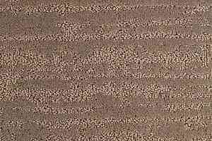 Ковролин Balsan Territoires Sierra 771 фото  | FLOORDEALER