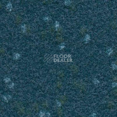 Ковролин Finett Vision Focus 705570 фото 1 | FLOORDEALER
