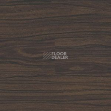 Линолеум Polyflor Expona Wood 6191 фото 1 | FLOORDEALER
