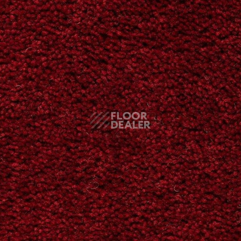 Ковролин Best Wool Pure Brunel g 70003 фото 1 | FLOORDEALER
