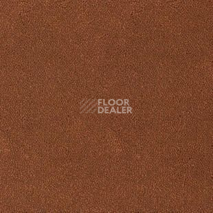 Ковролин Desso Asteranne 2098 фото 1 | FLOORDEALER