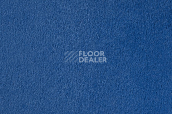 Ковролин Vorwerk Passion 1000/Modena Vorwerk 3n55 фото 1 | FLOORDEALER