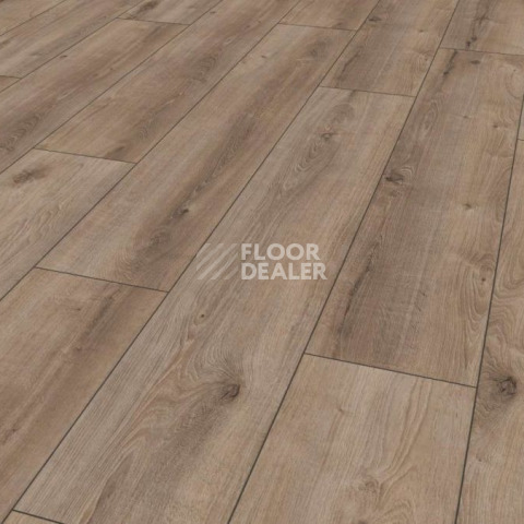 Kronotex Exquisit Plus d6020 Дуб Кашмир Титан фото 7 | FLOORDEALER