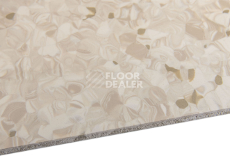Tarkett Primo Plus 301 фото 4 | FLOORDEALER