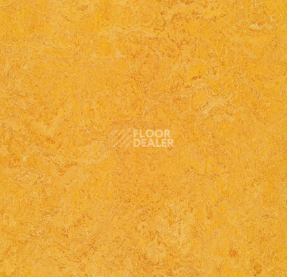 Линолеум Forbo Marmoleum Decibel 322535 dandelion фото 1 | FLOORDEALER