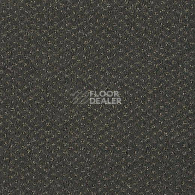 Ковролин Lano Carve Classic 821 Slate 1 фото 1 | FLOORDEALER