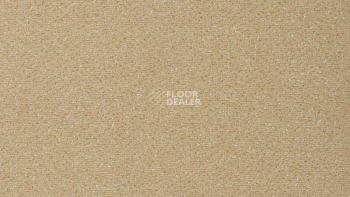 Ковролин Vorwerk Passion 1006 Vorwerk 8j11 фото 1 | FLOORDEALER
