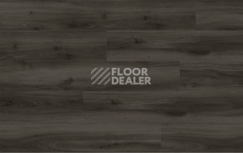 Moduleo Next Acoustic дерево TRADITION OAK 890 BO фото 4 | FLOORDEALER