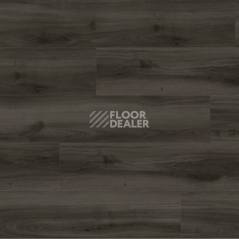 Moduleo Next Acoustic дерево TRADITION OAK 890 BO фото 4 | FLOORDEALER