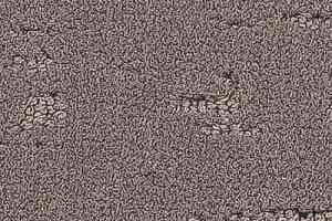 Ковровая плитка Balsan Groove Sonic Confort 730 фото  | FLOORDEALER